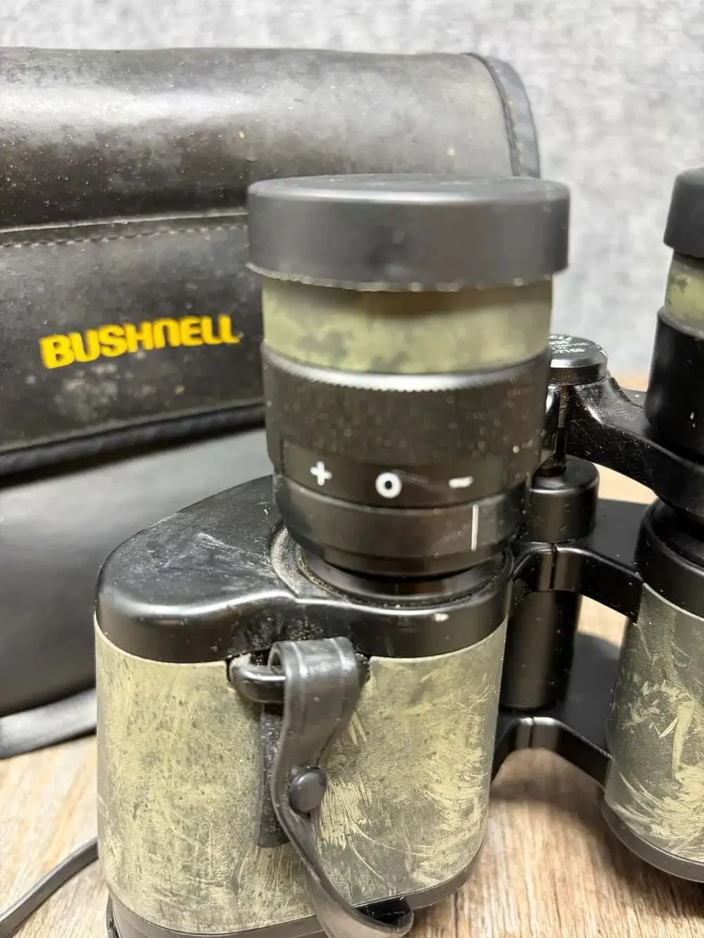 Bushnell hillary legend
